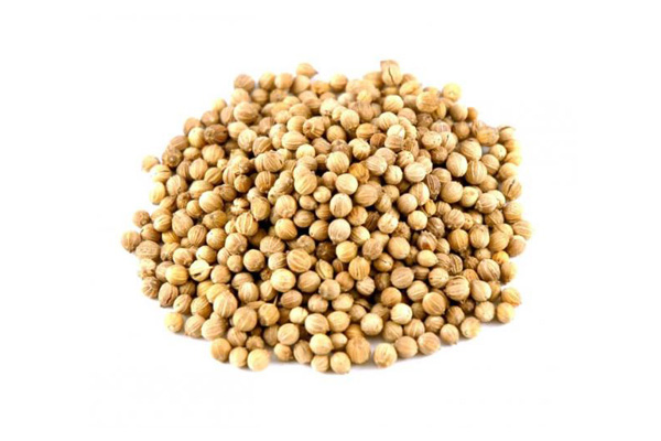 coriander